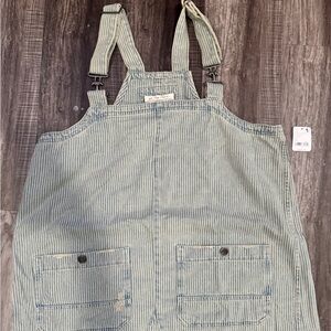 Free People Striped Overall Dress - Blue and White